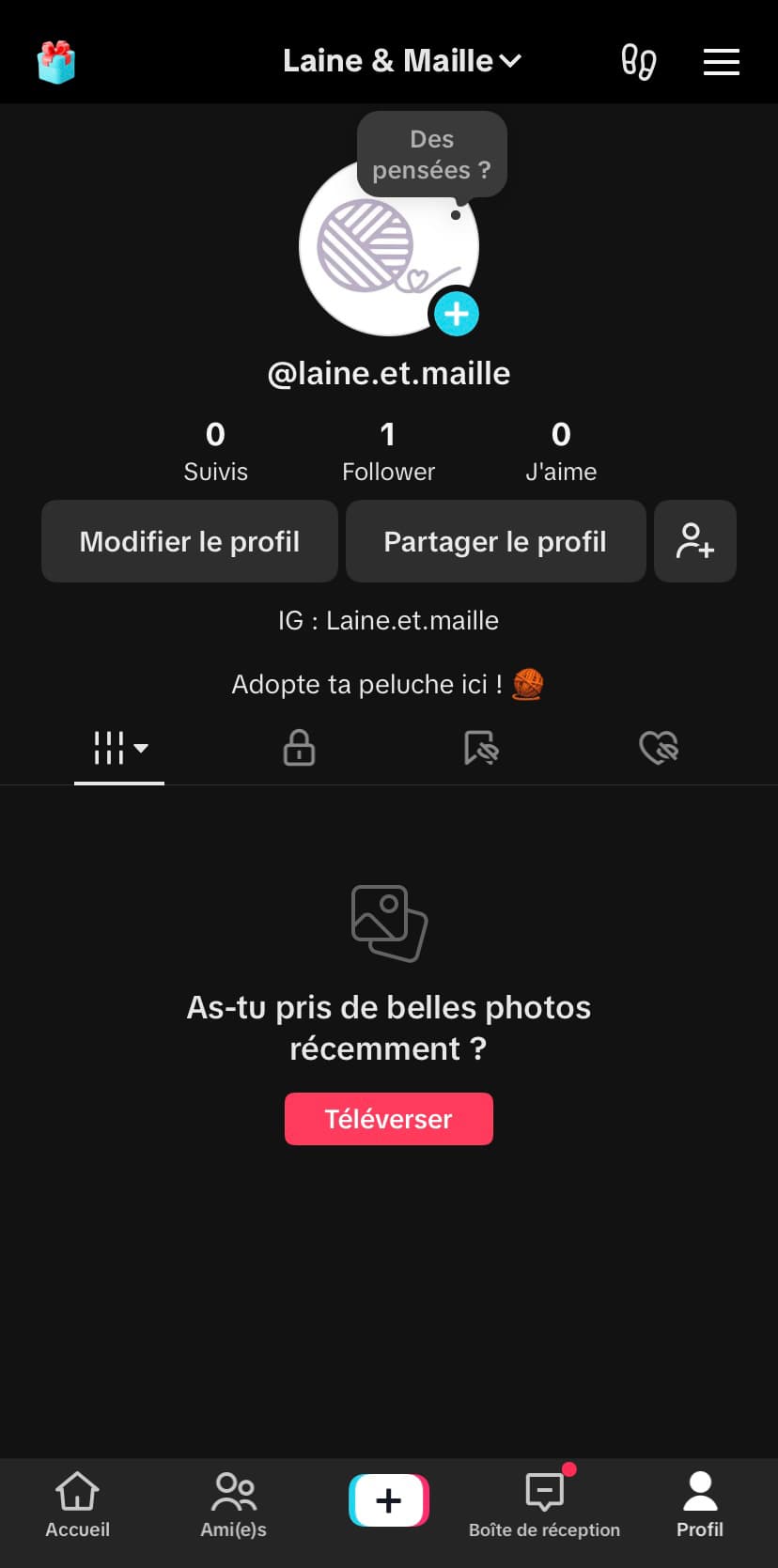 Réseau social : Tiktok