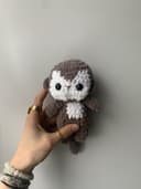 Miniature 1 de la variante Singe blanc et marron 