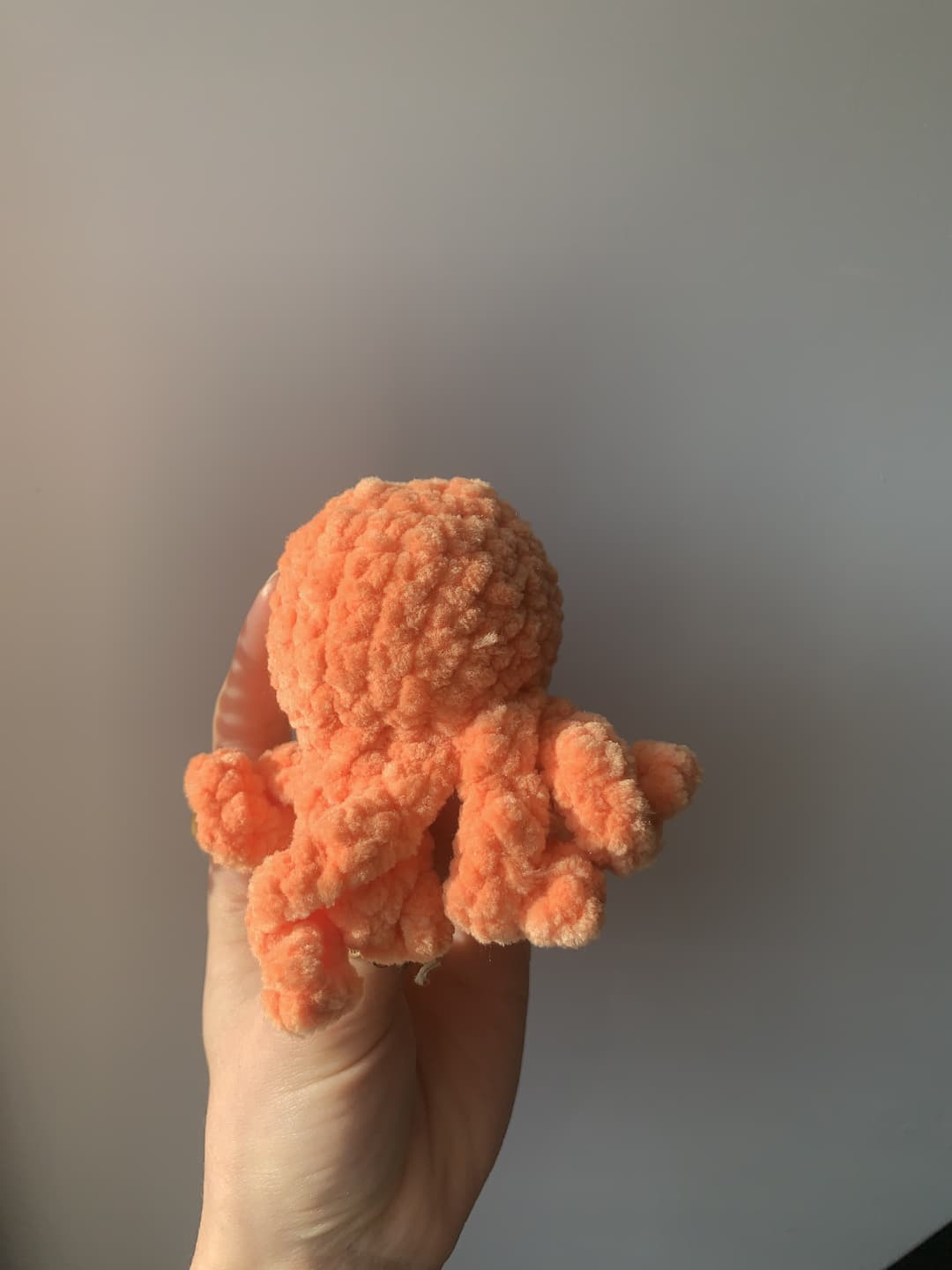 Image 3 de la variante Poulpe orange