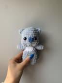 Miniature 1 de la variante Koala bleu