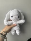 Miniature 1 de la variante Lapin blanc 