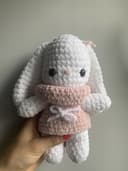 Miniature 1 de la variante Lapin robe 