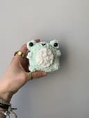 Miniature 1 de la variante Grenouille verte avec ventre blanc