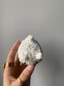 Miniature 4 de la variante Souris blanche