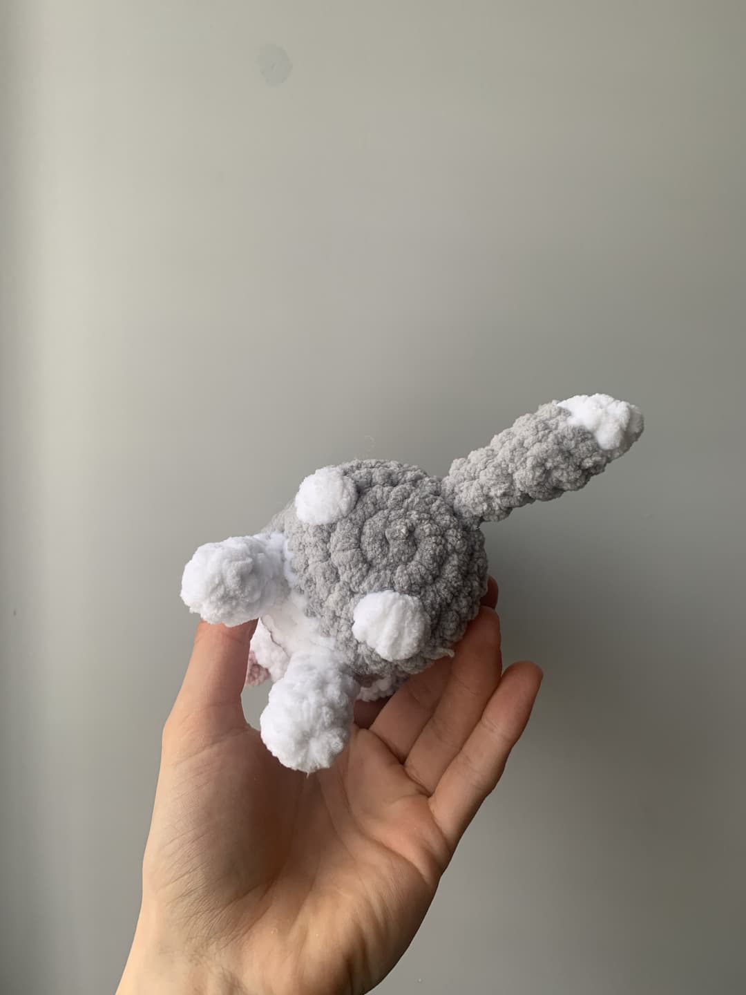 Image 5 de la variante Husky