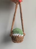 Miniature 3 de la variante Canard